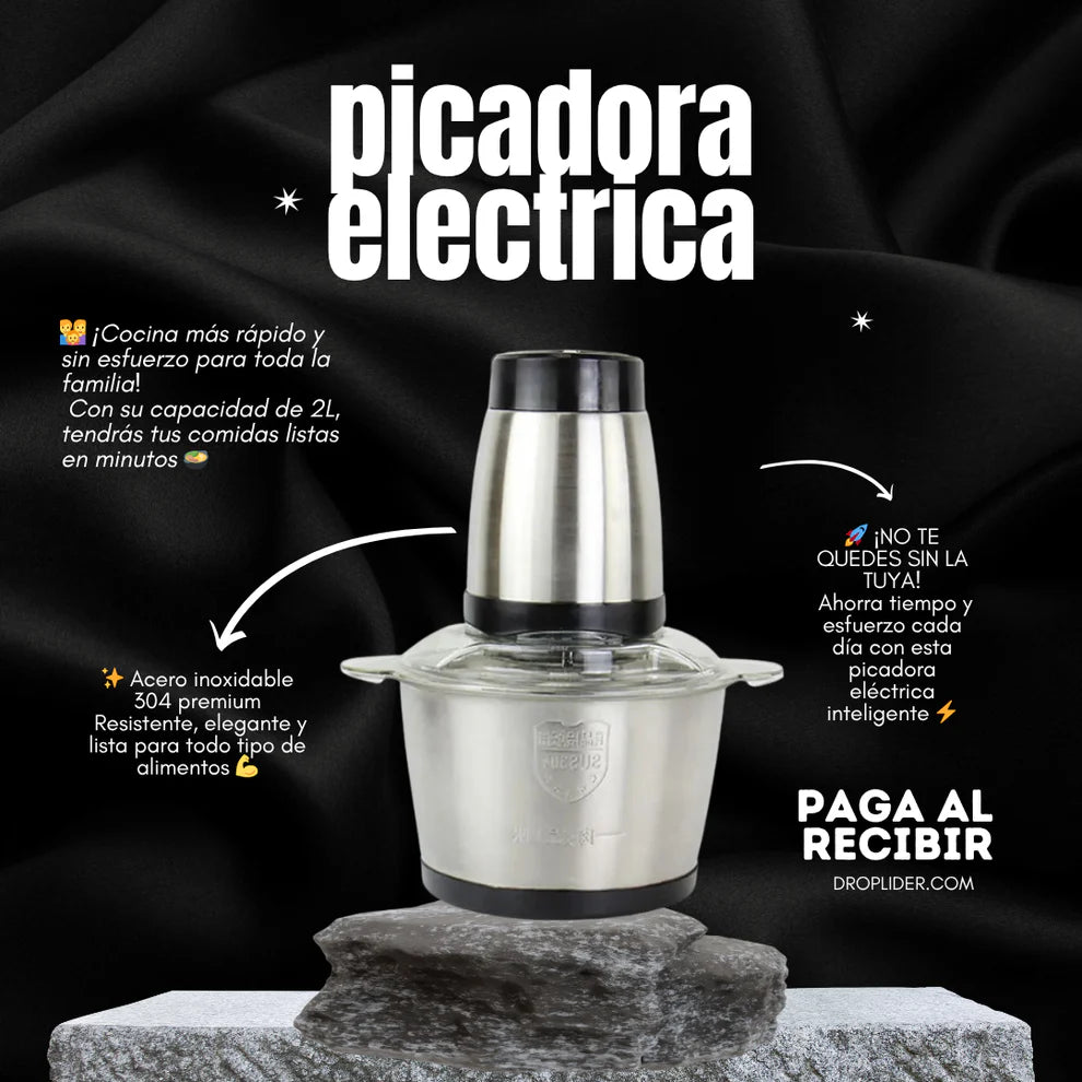 PICADORA ELECTRICA DOS VELOCIDADES